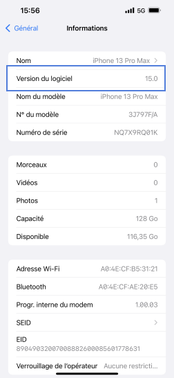 Étape 4 : La version logicielle s'affiche.