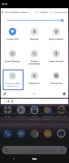 Étape 3 : Appuyez sur Fonctions données Mobiles activées.Par défaut les données mobiles sont activées