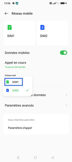 Étape 4 : Choisissez l'autre carte SIM (gérera l'accès à internet).