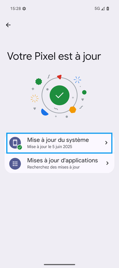 Étape 5 : Sélectionnez Mise à jour du système.Le téléphone effectue une recherche.