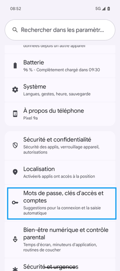 Étape 3 : Cliquez sur Mots de passe, clés d’accès et comptes.