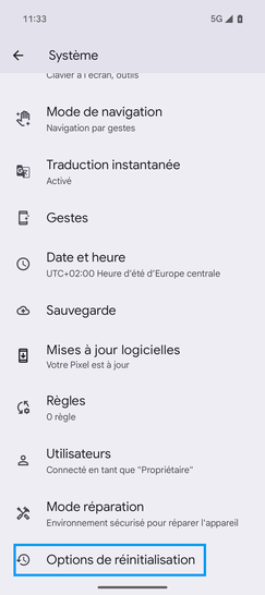 Étape 4 : Cliquez sur Options de réinitialisation.
