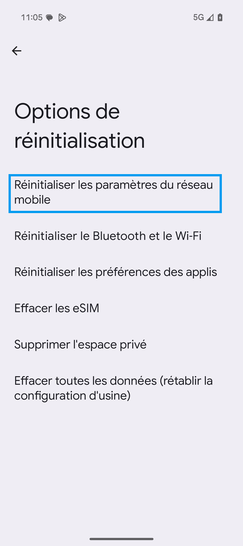 Étape 5 : Choisissez Réinitialiser les paramètres du réseau mobile.