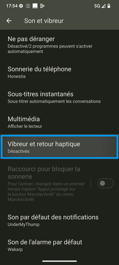 Étape 4 : Allez sur Vibreur et retour haptique.