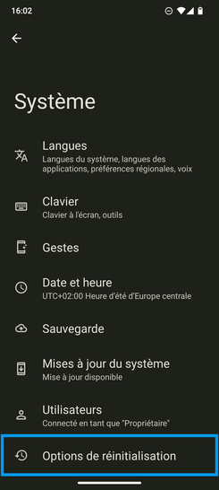 Étape 4 : Allez sur Options de réinitialisation.
