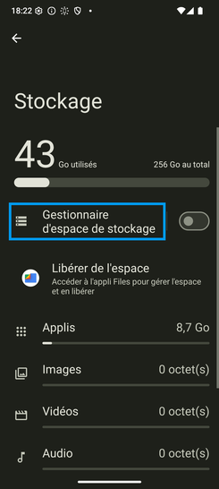 Étape 4 : Consultez les états de mémoire par typologie et/ou allez sur Gestionnaire d'espace de stockage.