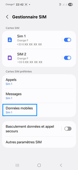 Étape 5 : Allez sur Données mobiles.