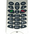 Samsung SGH-A100 BI-BANDE